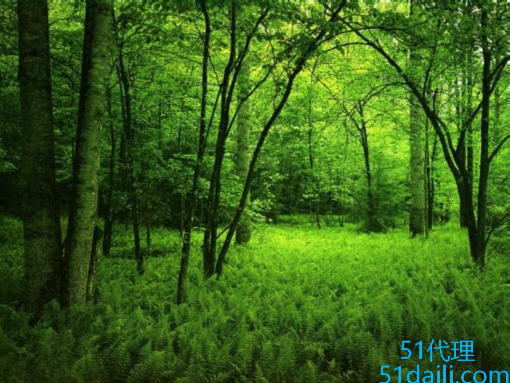 2016年IP代理软件哪家强 ip代理软件哪个好2016